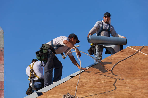 Best Roof Repair Services  in Foresthill, CA