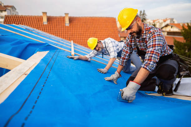 Best Roof Gutter Cleaning  in Foresthill, CA