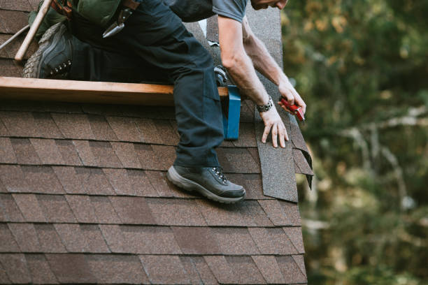 Roof Gutter Cleaning in Foresthill, CA